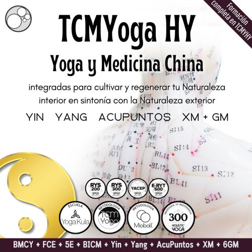 Portadas TCMYoga 300 h