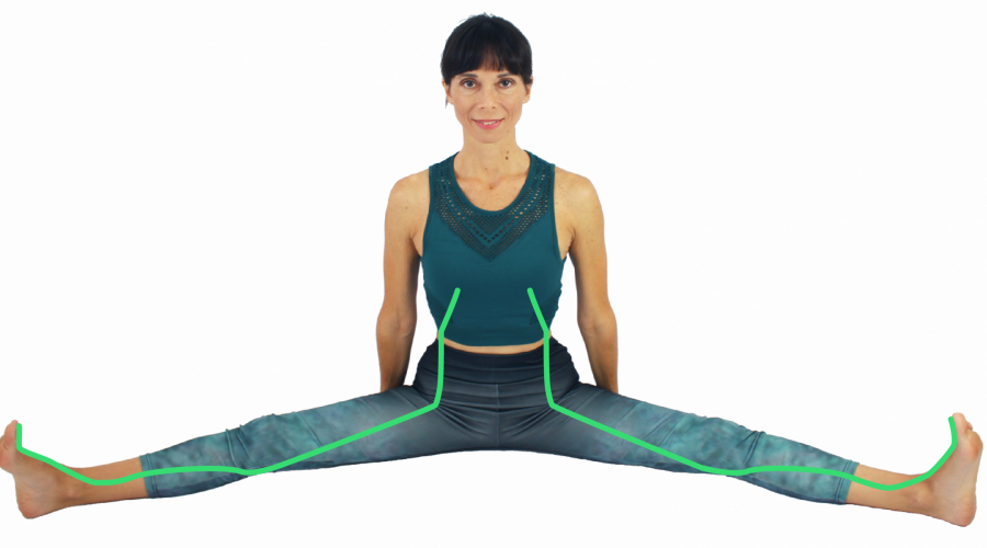 dragonfly con meridianos